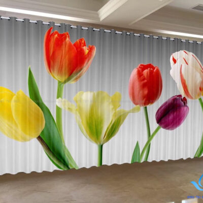 RT8 rèm in hoa tuylip